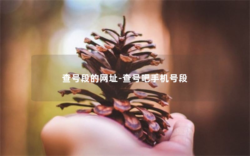 查号段的网址-查号吧手机号段