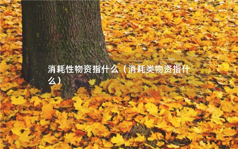 消耗性物资指什么（消耗类物资指什么）