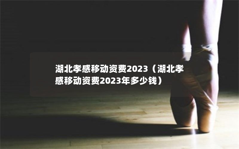 湖北孝感移动资费2023（湖北孝感移动资费2023年多少钱）