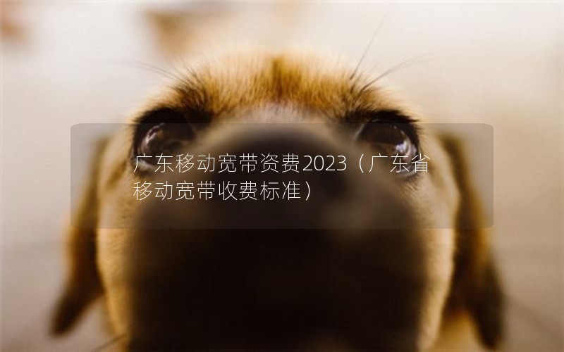 广东移动宽带资费2023（广东省移动宽带收费标准）