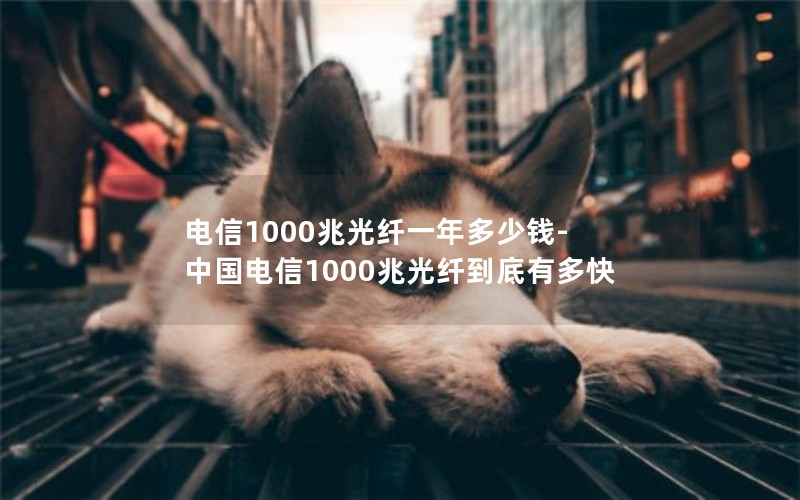 电信1000兆光纤一年多少钱-中国电信1000兆光纤到底有多快