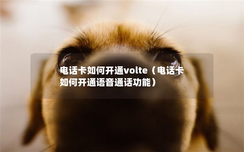 电话卡如何开通volte（电话卡如何开通语音通话功能）