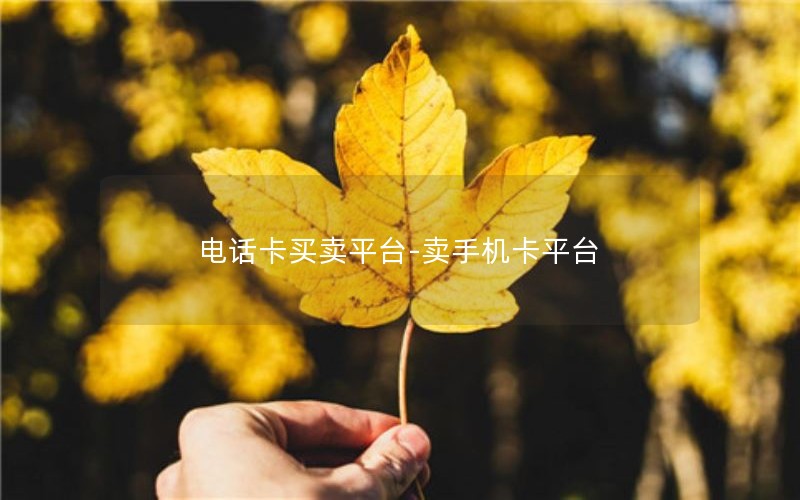 电话卡买卖平台-卖手机卡平台