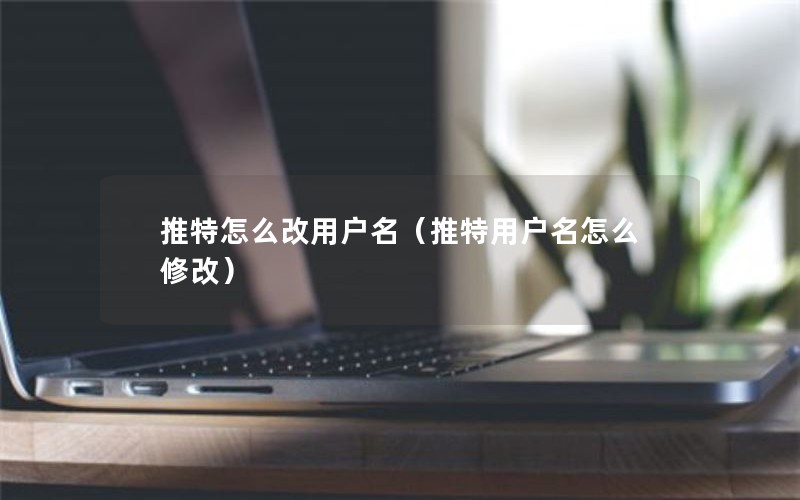 推特怎么改用户名（推特用户名怎么修改）