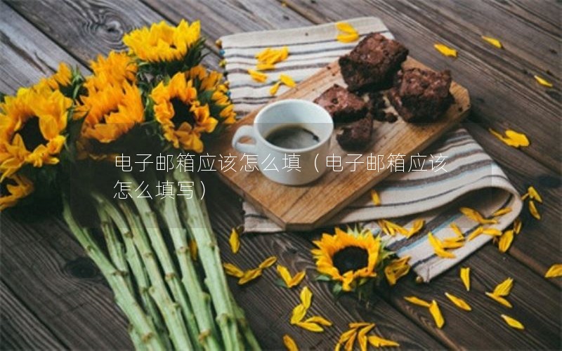 电子邮箱应该怎么填（电子邮箱应该怎么填写）