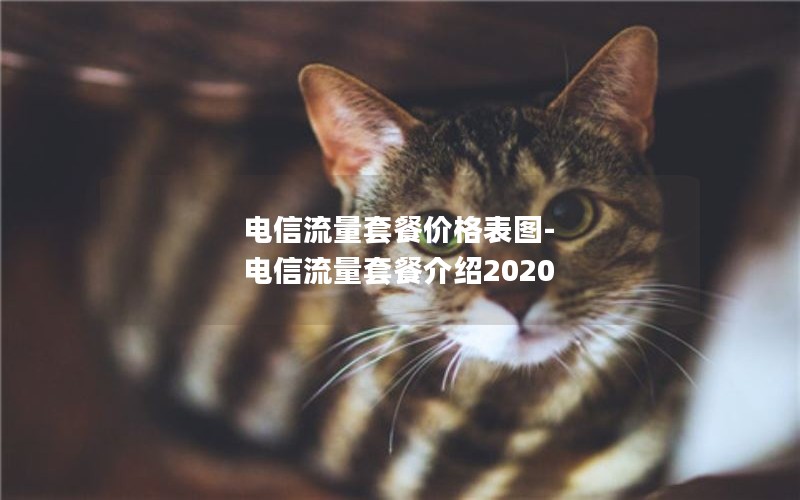 电信流量套餐价格表图-电信流量套餐介绍2020