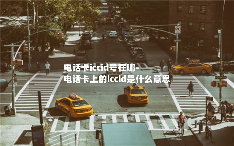 电话卡iccid号在哪-电话卡上的iccid是什么意思