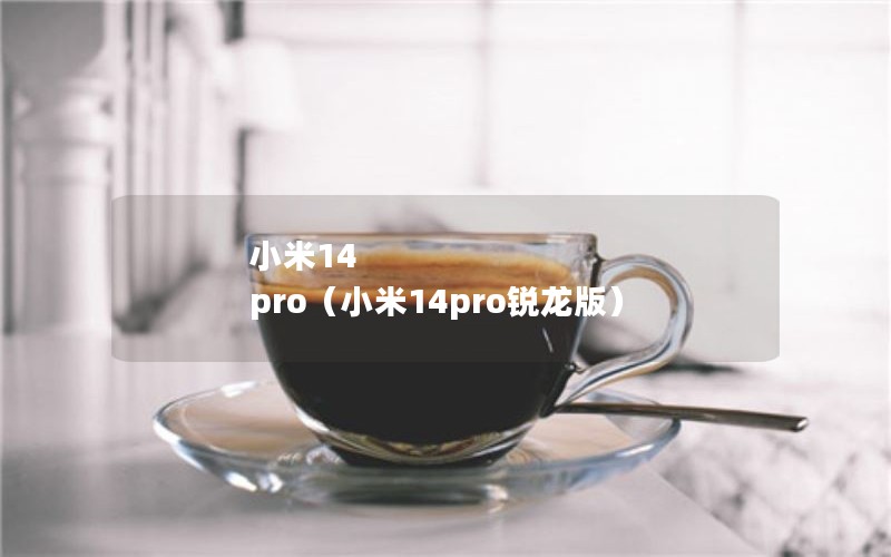 小米14 pro（小米14pro锐龙版）