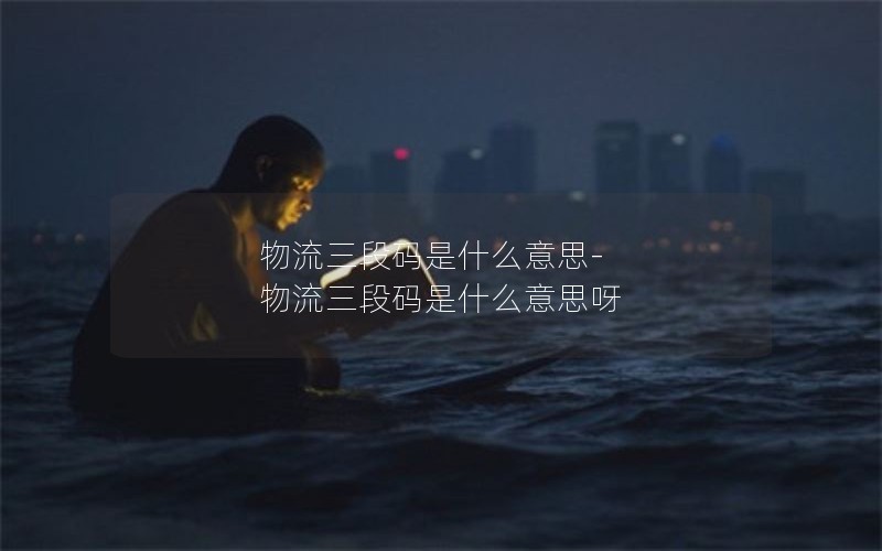 物流三段码是什么意思-物流三段码是什么意思呀