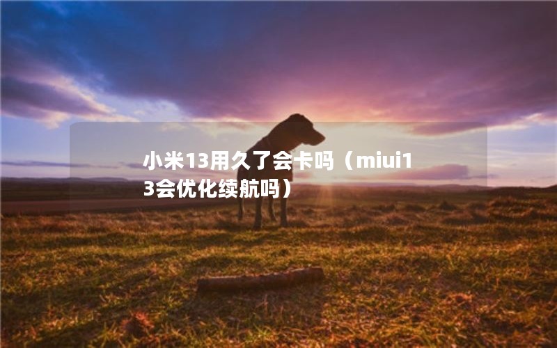 小米13用久了会卡吗（miui13会优化续航吗）