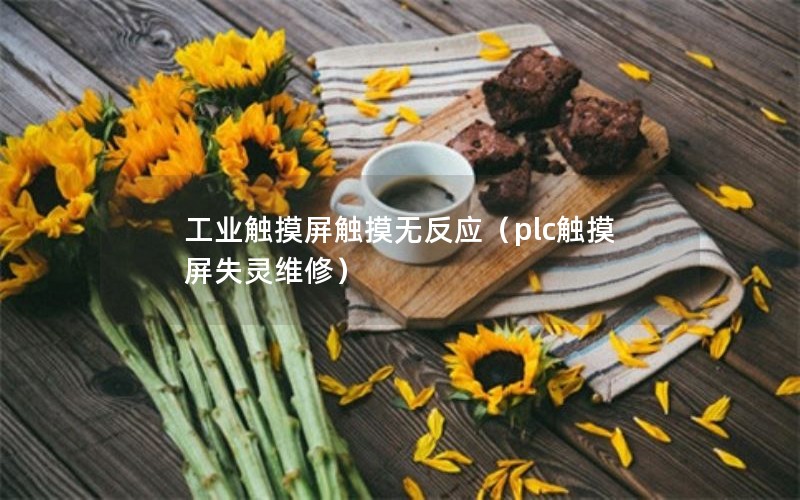 工业触摸屏触摸无反应（plc触摸屏失灵维修）