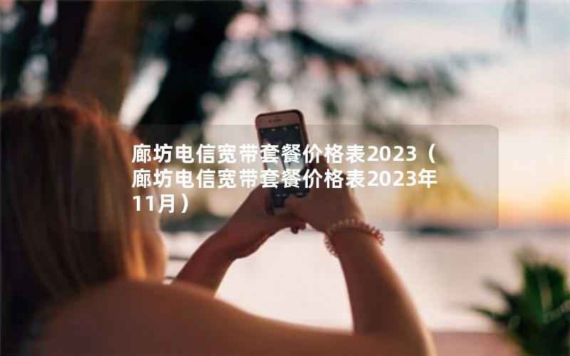 廊坊电信宽带套餐价格表2023（廊坊电信宽带套餐价格表2023年11月）