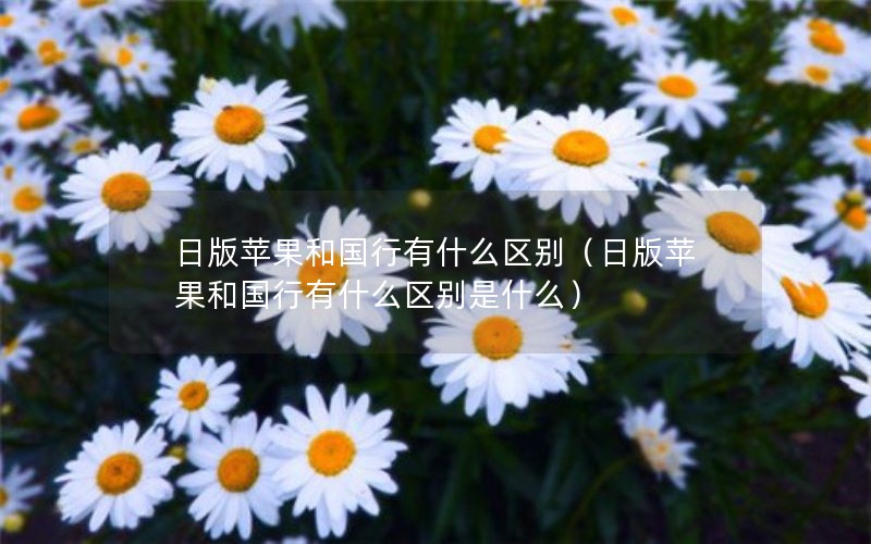 日版苹果和国行有什么区别（日版苹果和国行有什么区别是什么）