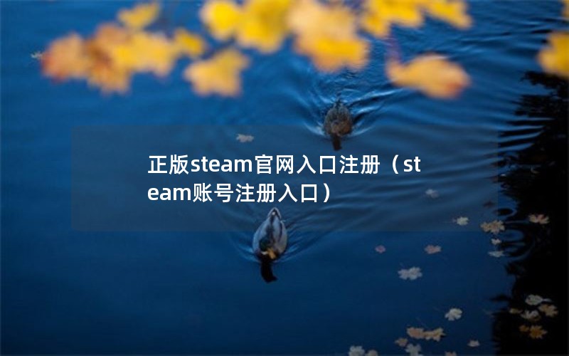 正版steam官网入口注册（steam账号注册入口）