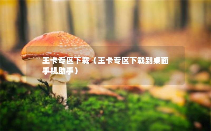 王卡专区下载（王卡专区下载到桌面手机助手）