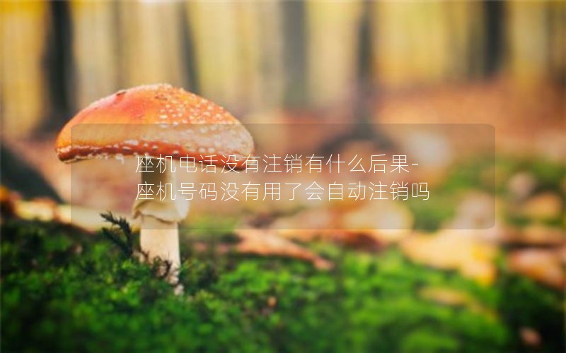 座机电话没有注销有什么后果-座机号码没有用了会自动注销吗