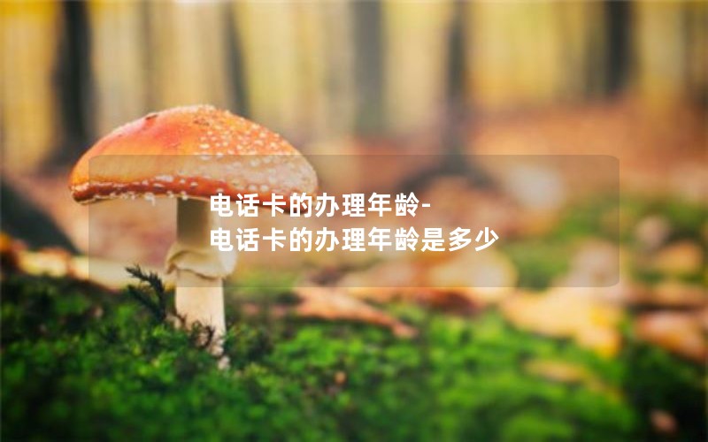 电话卡的办理年龄-电话卡的办理年龄是多少