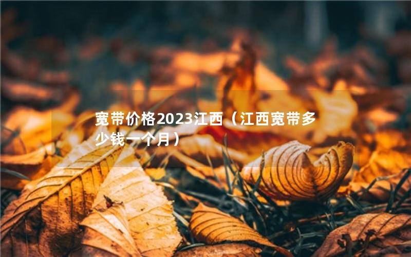 宽带价格2023江西（江西宽带多少钱一个月）