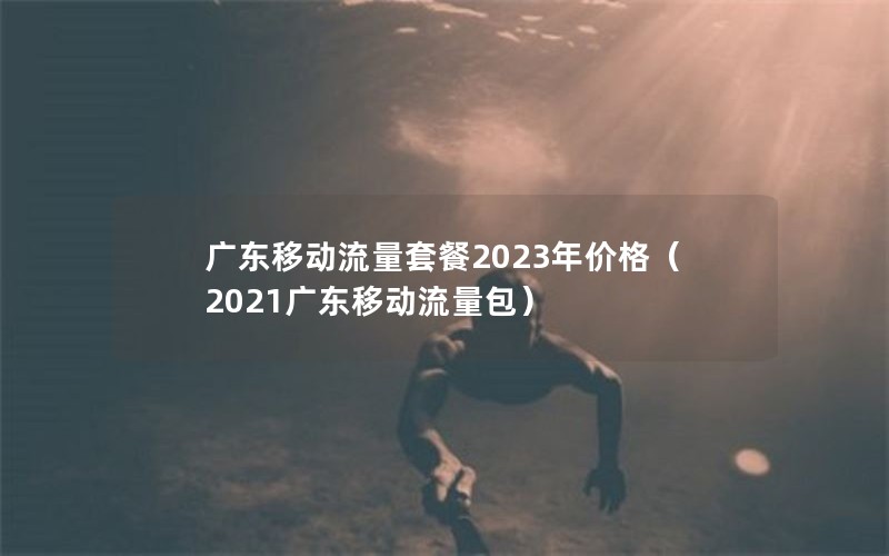 广东移动流量套餐2023年价格（2021广东移动流量包）