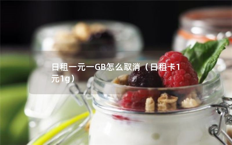 日租一元一GB怎么取消（日租卡1元1g）