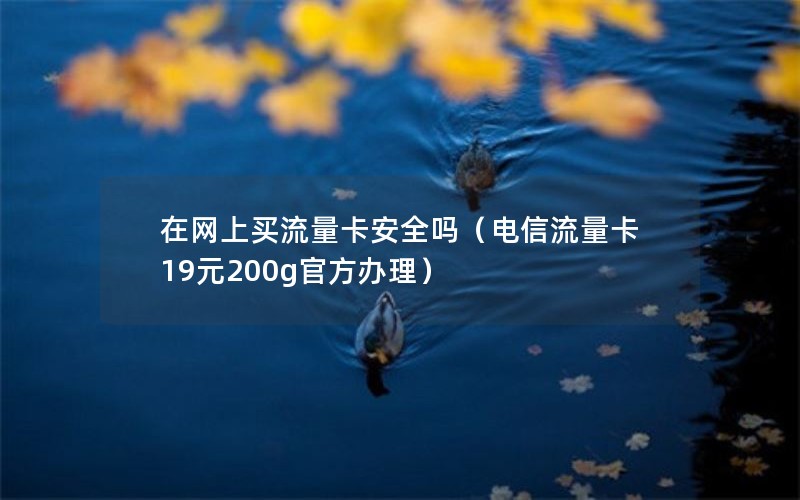 在网上买流量卡安全吗（电信流量卡19元200g官方办理）