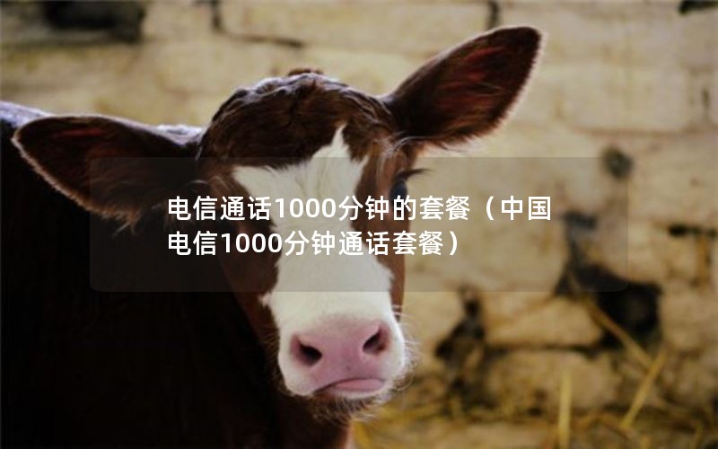 电信通话1000分钟的套餐（中国电信1000分钟通话套餐）