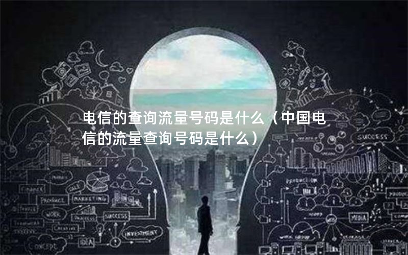 电信的查询流量号码是什么（中国电信的流量查询号码是什么）