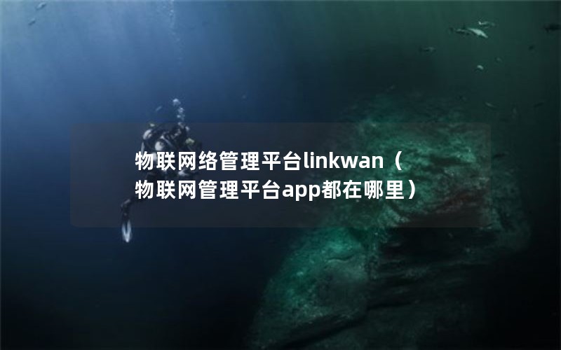 物联网络管理平台linkwan（物联网管理平台app都在哪里）