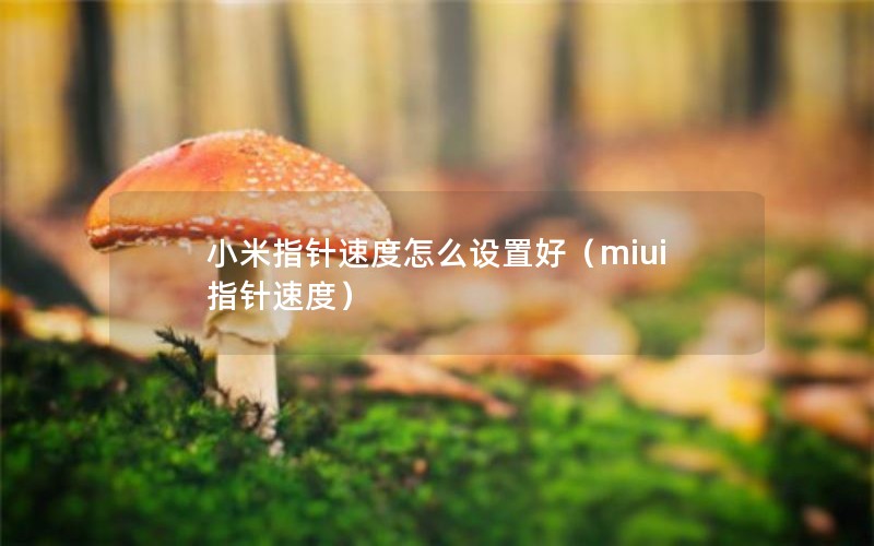 小米指针速度怎么设置好（miui指针速度）