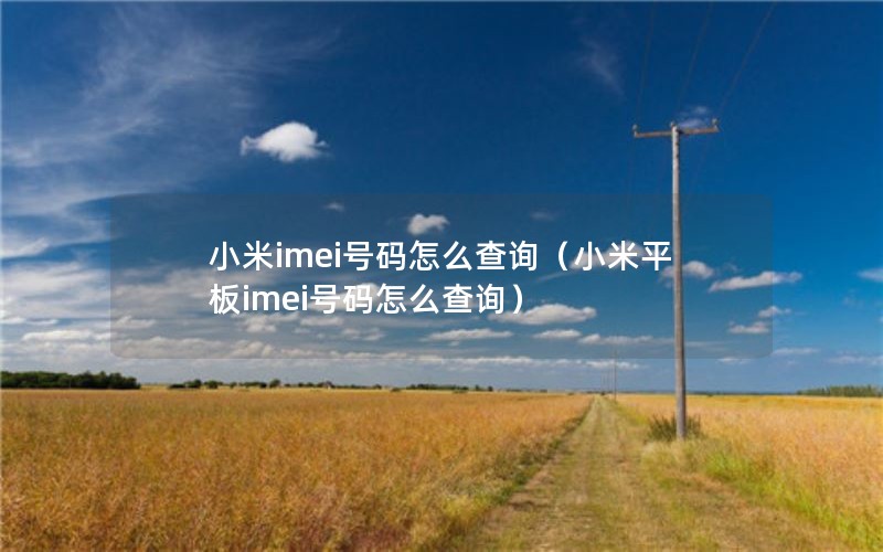 小米imei号码怎么查询（小米平板imei号码怎么查询）