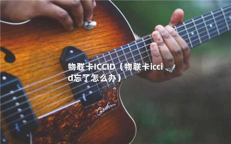 物联卡ICCID（物联卡iccid忘了怎么办）