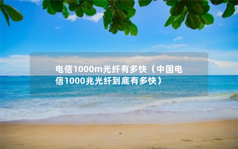 电信1000m光纤有多快（中国电信1000兆光纤到底有多快）