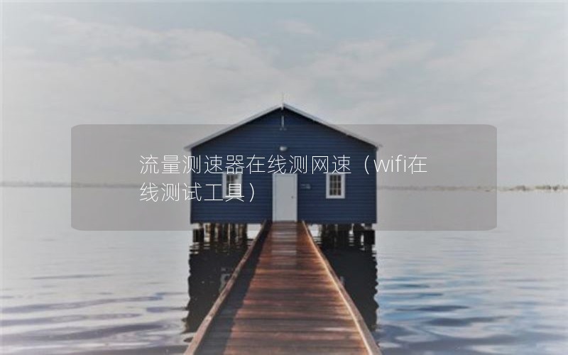 流量测速器在线测网速（wifi在线测试工具）