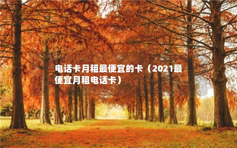 电话卡月租最便宜的卡（2021最便宜月租电话卡）