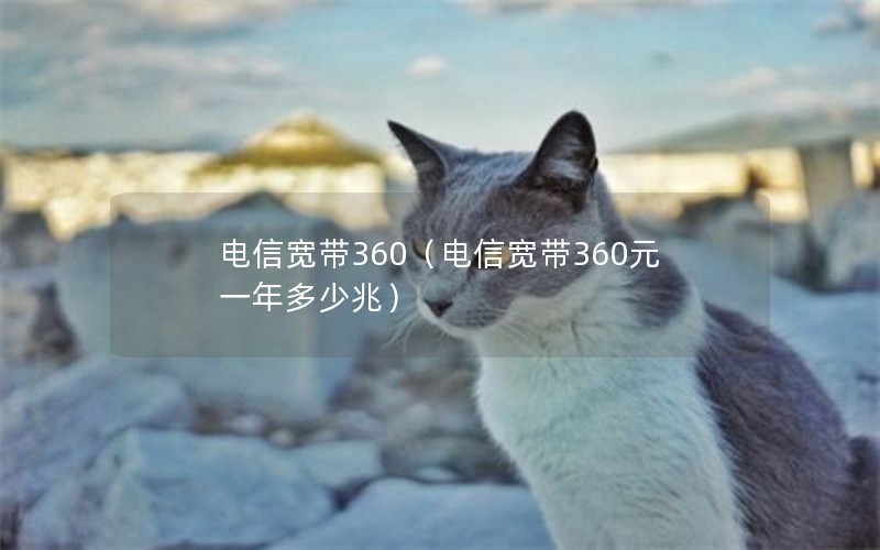 电信宽带360（电信宽带360元一年多少兆）