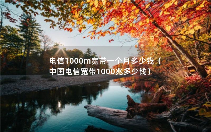 电信1000m宽带一个月多少钱（中国电信宽带1000兆多少钱）