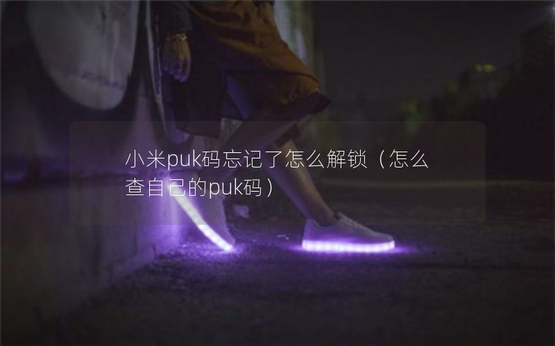 小米puk码忘记了怎么解锁（怎么查自己的puk码）