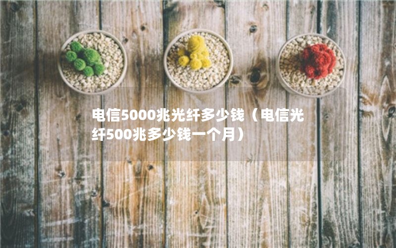 电信5000兆光纤多少钱（电信光纤500兆多少钱一个月）