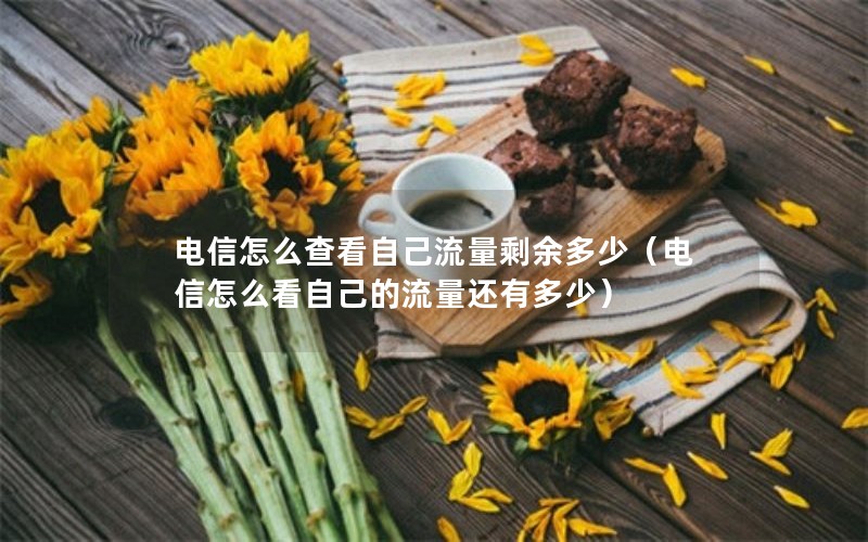 电信怎么查看自己流量剩余多少（电信怎么看自己的流量还有多少）