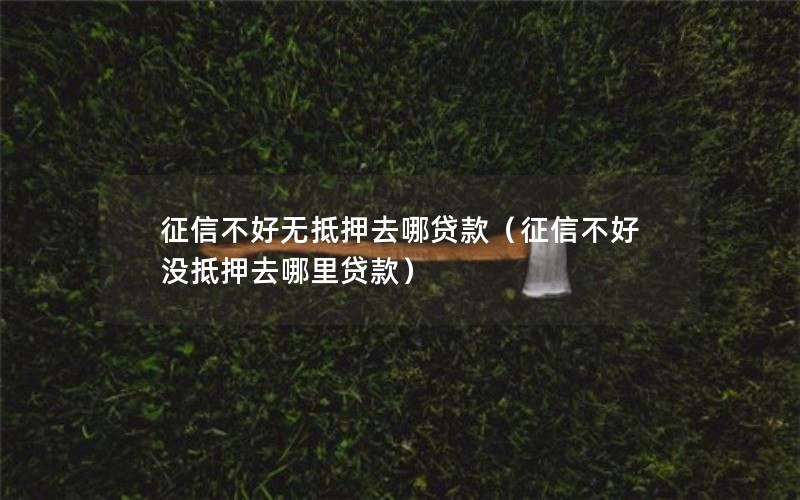 征信不好无抵押去哪贷款（征信不好没抵押去哪里贷款）