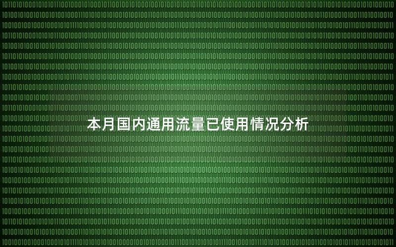 本月国内通用流量已使用情况分析