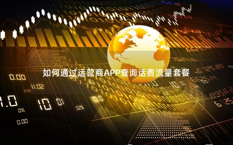 如何通过运营商APP查询话费流量套餐