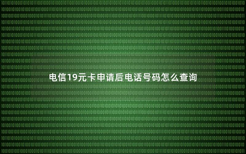 电信19元卡申请后电话号码怎么查询