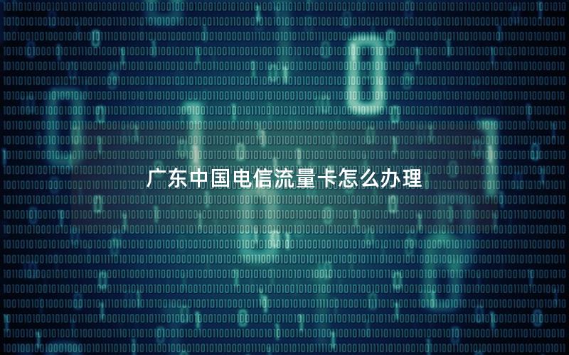 广东中国电信流量卡怎么办理