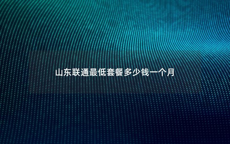 山东联通最低套餐多少钱一个月