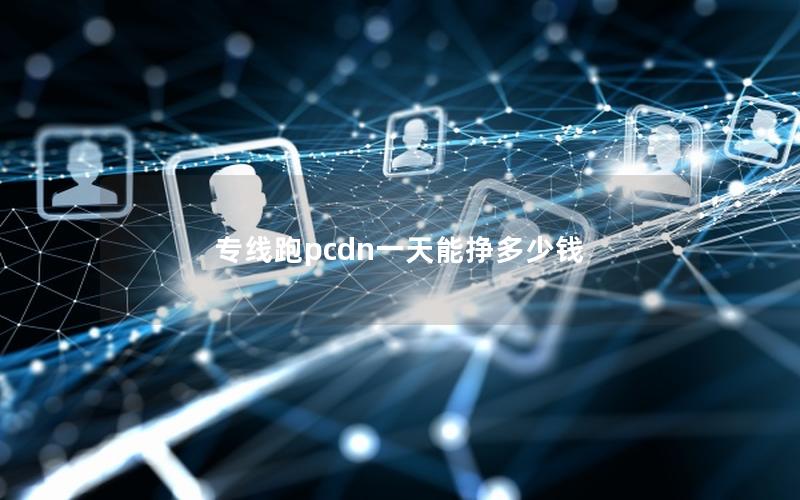 专线跑pcdn一天能挣多少钱