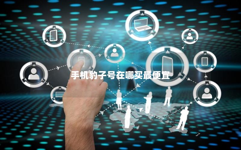 手机豹子号在哪买最便宜