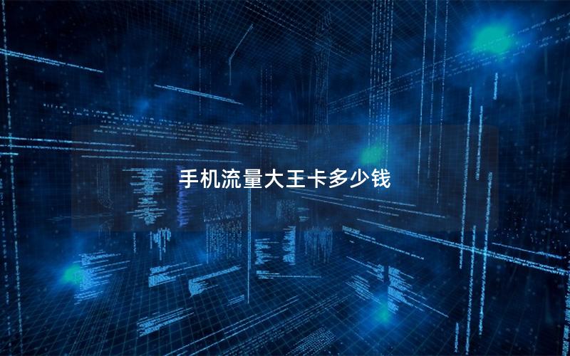 手机流量大王卡多少钱
