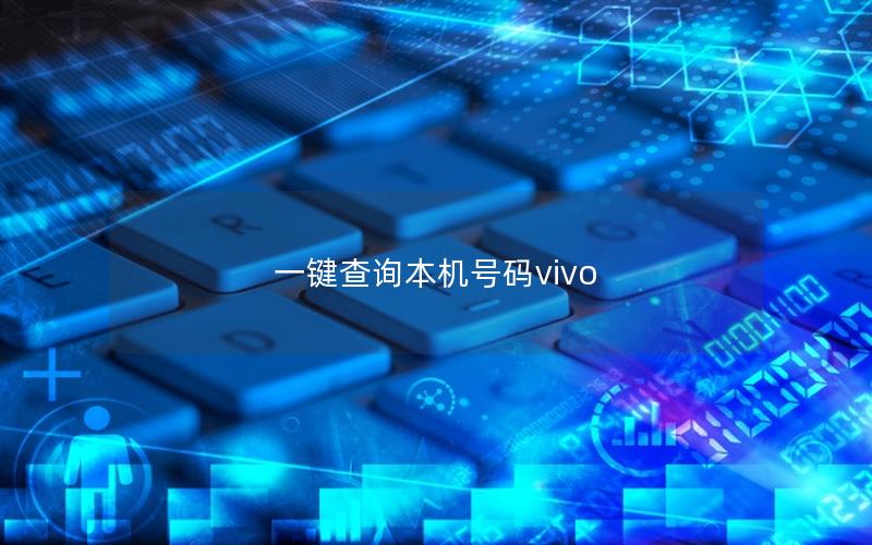 一键查询本机号码vivo