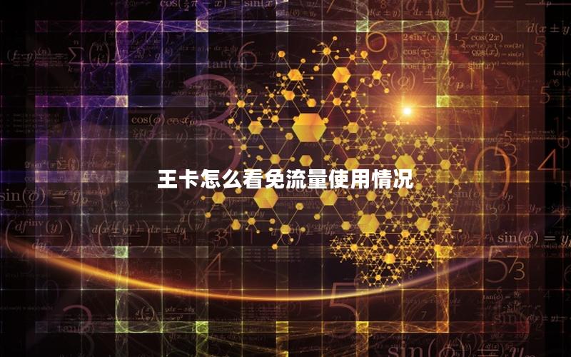 王卡怎么看免流量使用情况